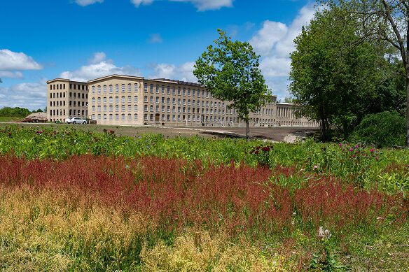 Mill 5-23-25 Progress-8 2