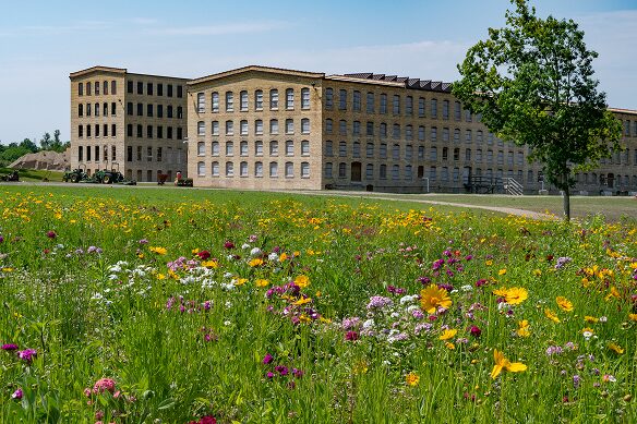 Mill 6-11 Progress-10 3